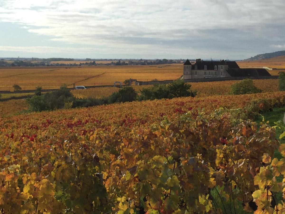 Les Hauts De Fixin, 50M2 Avec Exterieur Sur La Route Des Grands Crus, Dijon Sud Εξωτερικό φωτογραφία