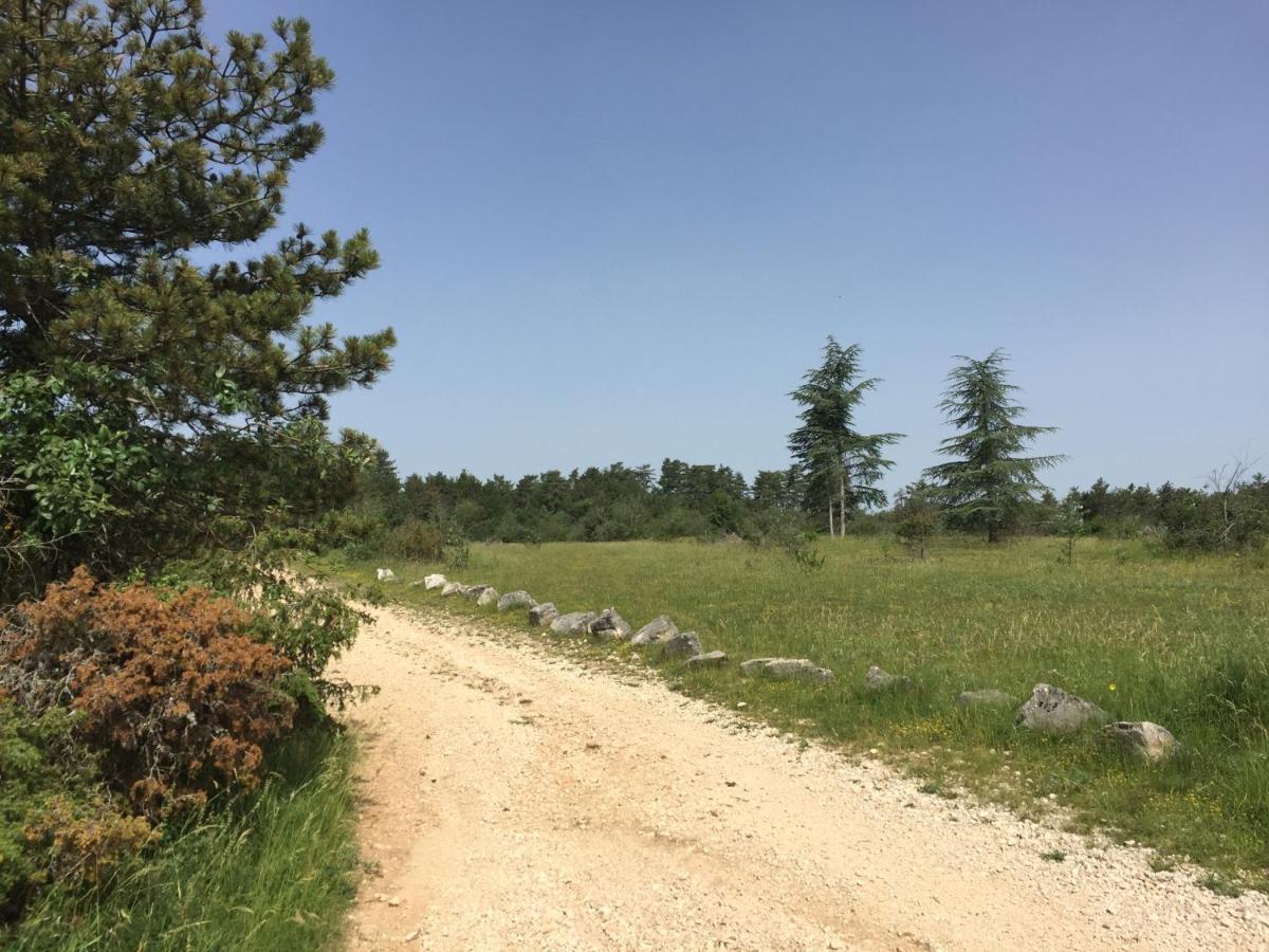 Les Hauts De Fixin, 50M2 Avec Exterieur Sur La Route Des Grands Crus, Dijon Sud Εξωτερικό φωτογραφία