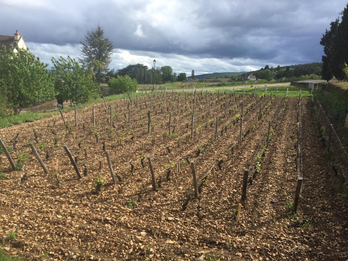 Les Hauts De Fixin, 50M2 Avec Exterieur Sur La Route Des Grands Crus, Dijon Sud Εξωτερικό φωτογραφία